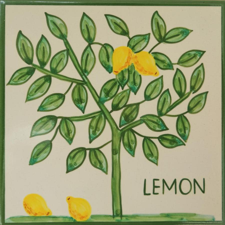 Casa Monte Cristo Apartments - Lemon Lagos Bagian luar foto